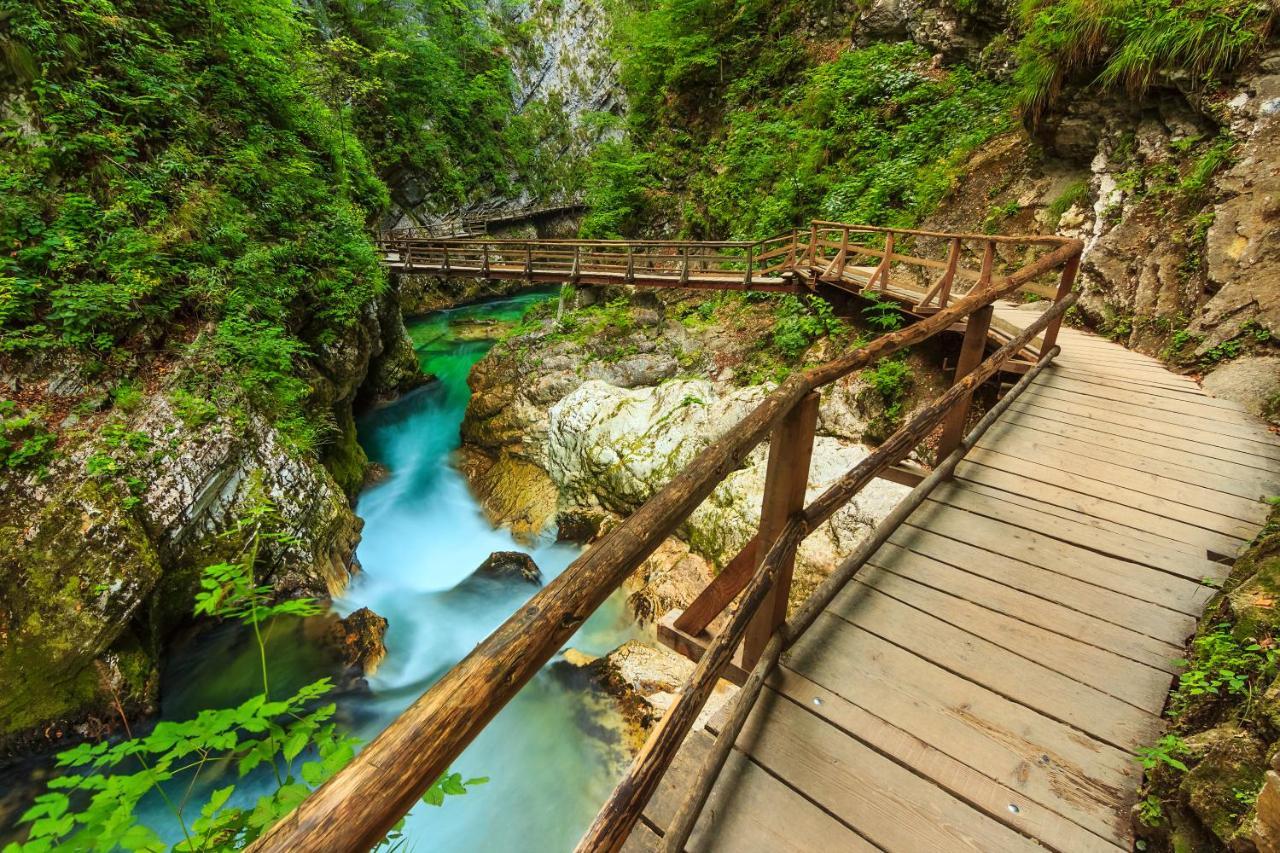 Lake Bled Holiday Home Esterno foto